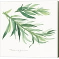 thumbnail image 1 of Tarragon II by Chris Paschke, Canvas Wall Art, 1 of 1
