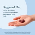 thumbnail image 6 of Youtheory Ashwagandha - Vegetarian Energy & Stress Support Supplement with Organic KSM-66 & Ginger Extract - Cane Sugar-Mixed Berry, 60 Gummies (20 Day Supply), 6 of 7