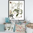 thumbnail image 2 of Designart 'Ancient Plant Life IV' Farmhouse Framed Canvas Wall Art Print, 2 of 5