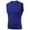 Blue, variant on Men's Workout Tank Tops Athletic Compression Sleeveless T-Shirts Fitness Bodybuilding Muscle Shirt Stretch Quick Dry Basketball Vest