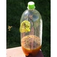 thumbnail image 2 of Fatal Funnel Wasp Hornet Trap for Homemade Bottle Reble Catchers Pack of 6, 2 of 2