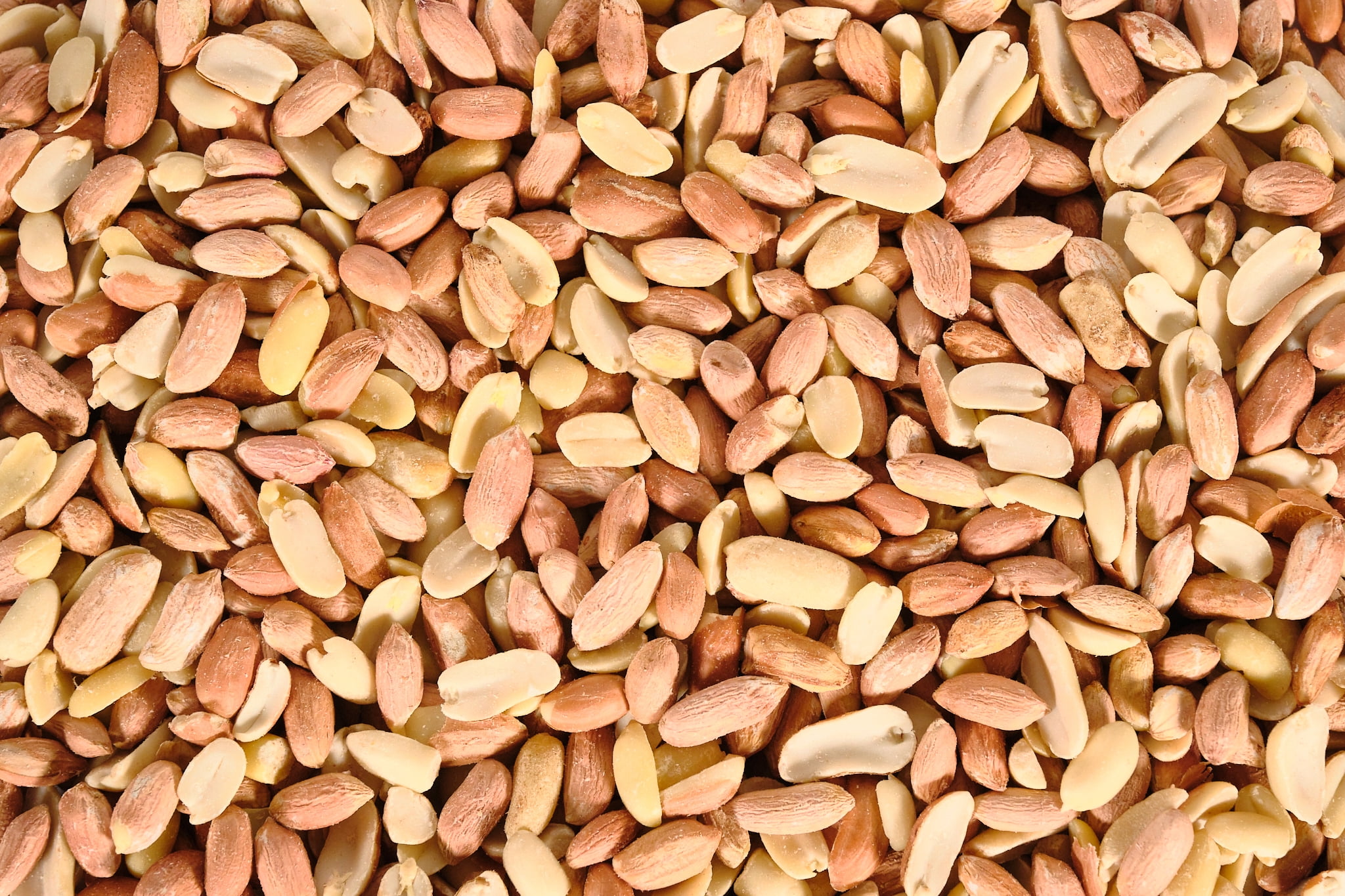 Vibrant Life Wild Bird Food Peanuts 2kg