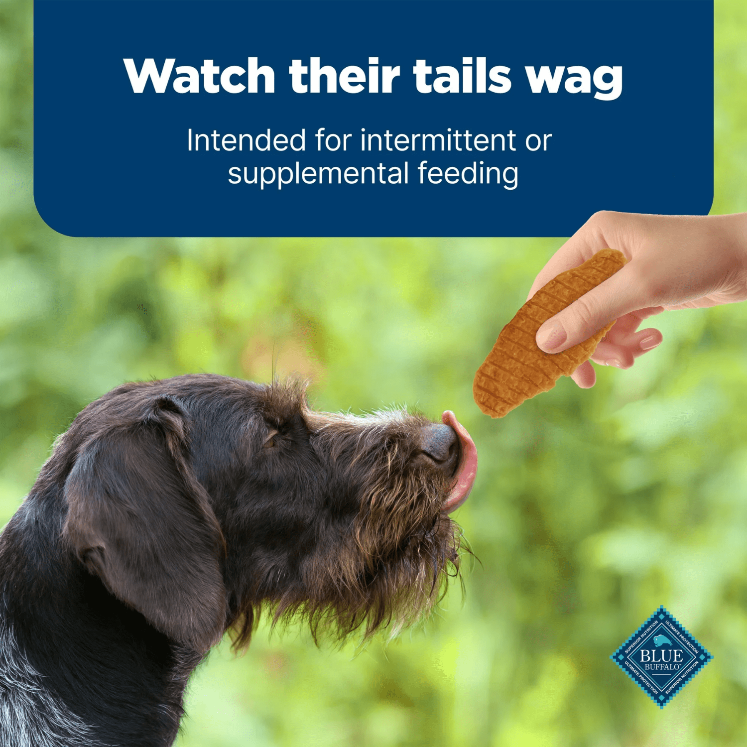 Blue Buffalo Nudges Jerky Cuts Natural Dog Treats, Chicken, 453g, BLUE Nudges Jerky Dog Chicken