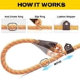 thumbnail image 3 of Correa para perros Fida, duradera, de nailon, 6 pies x 3/8 pulgadas, naranja, 3 of 9