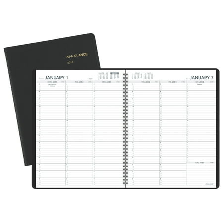 2018 AT-A-GLANCE Weekly Appointment Book/Planner, 13 Months, January Start, 8 1/4