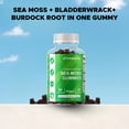 thumbnail image 4 of 2 PackVitamatic Irish Sea Moss Gummies with Bladderwrack & Burdock Root – Botanical Extract Supplement – Vegan, Non-GMO – 60 Count, 4 of 11