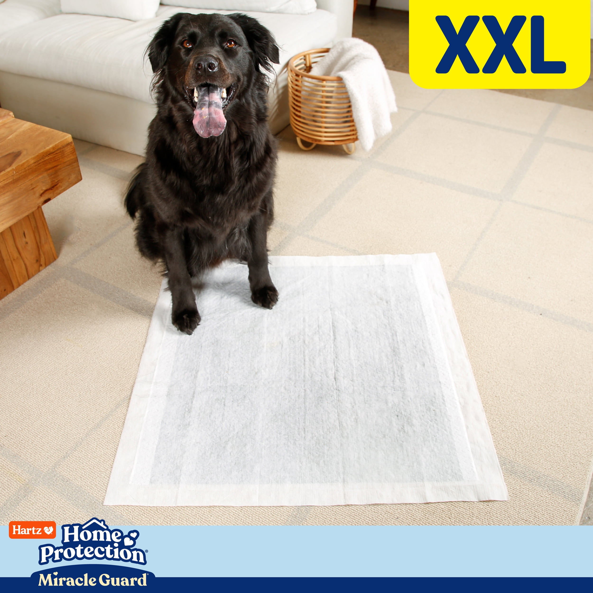 (2 pack) Hartz Miracle Guard Dog and Puppy Pads Max Absorbency 24 Hour Use Odor Eliminating No Leaks, XXL, 20 Count