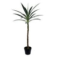 thumbnail image 2 of Vickerman FE192641 Yucca en Pot Vert de 44 Po avec Pot de Plantation en Plastique, 2 of 3