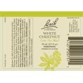 thumbnail image 4 of Remedios florales Bach Original Be Your Best, paquete de 3, 20 ml, x3, 4 of 4