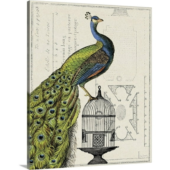 Great Big Canvas "Peacock Birdcage I"  by Sue Schlabach White Light Yellow vintage  Wrapped Canvas Print Wall Artwork