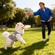 thumbnail image 1 of Abrigo de Invierno para Perros Pequeños | Chaleco Acolchado de Dos Patas | Poliéster Impermeable y Cortavientos | Chaqueta Ligera y Cálida para Actividades Al Aire Libre En Climas Fríos | Ropa para P, 1 of 6