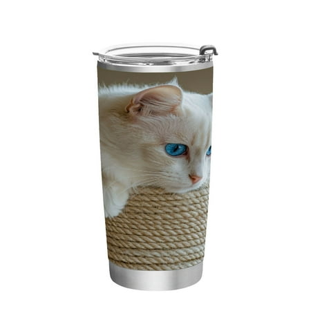 

20oz Straw Mugs with Handle and Straw Lid Sports Mugs Car Mugs White Cat with Blue Eyes