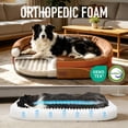 thumbnail image 5 of Ophanie Burnt Orange Luxury Sofa-Style Pet Orthopedic Bed for Medium Dogs – Removable Machine-Washable Plush Cover, 4-Sided Bolster, Non-Slip Bottom, Size 35"x28"x6", 5 of 6