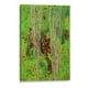 thumbnail image 1 of Cuadro decorativo - 5.1 /15 Explosión de Champagne, Alba Derbez 60x90 Canvas Lab Abstracto, Ilustraciones,, 1 of 2