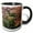 Black/White, variant on 3drose, Usa, Washington, Seattle, Arboretum Japanese Garden, Japanese Maple., 11oz Magic Transforming Mug
