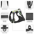 thumbnail image 3 of Naloa Rainbow Rabbit Pet Harness Vest with Traction Rope, Adjustable No-Choke Dog Vest for Outdoor, Walking - Large, 3 of 4