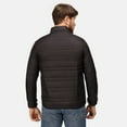 thumbnail image 3 of Regatta Professional Mens Firedown Insulated Jacket, 3 of 4