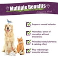 thumbnail image 3 of Amber NaturalZ Pyntril Peaceful Mind for Pets | Herbal Pet Supplement for Relaxation 4oz, 3 of 6