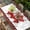 Red, variant on Valentine's Day Table Cloths for 6 Foot Rectangle Tables, Romantic Truck Love Balloons Red Plaid Patio Waterproof Elastic Fitted Tablecloths, Washable Rectangular Table Cover for Camping