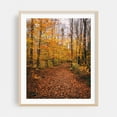 thumbnail image 2 of Moxie Falls Trail - West Forks Maine Photography Unframed Wall Art Print 8 x 10 inches, 2 of 13