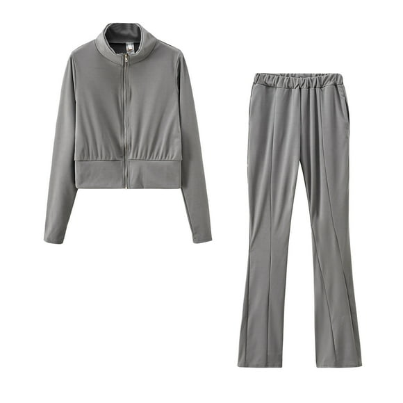 2 Piece Outfits for Women Solid Color Hooded Sweatshirt and pant Tracksuit Sport Suit(Gray,L)