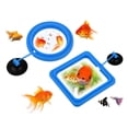 thumbnail image 2 of 2 piezas de anillo de alimentación para peces, alimentador de alimentos flotante seguro para peces, círculo azul, con ventosa, fácil de instalar, acuario, cuadrado y redondo, 2 of 5