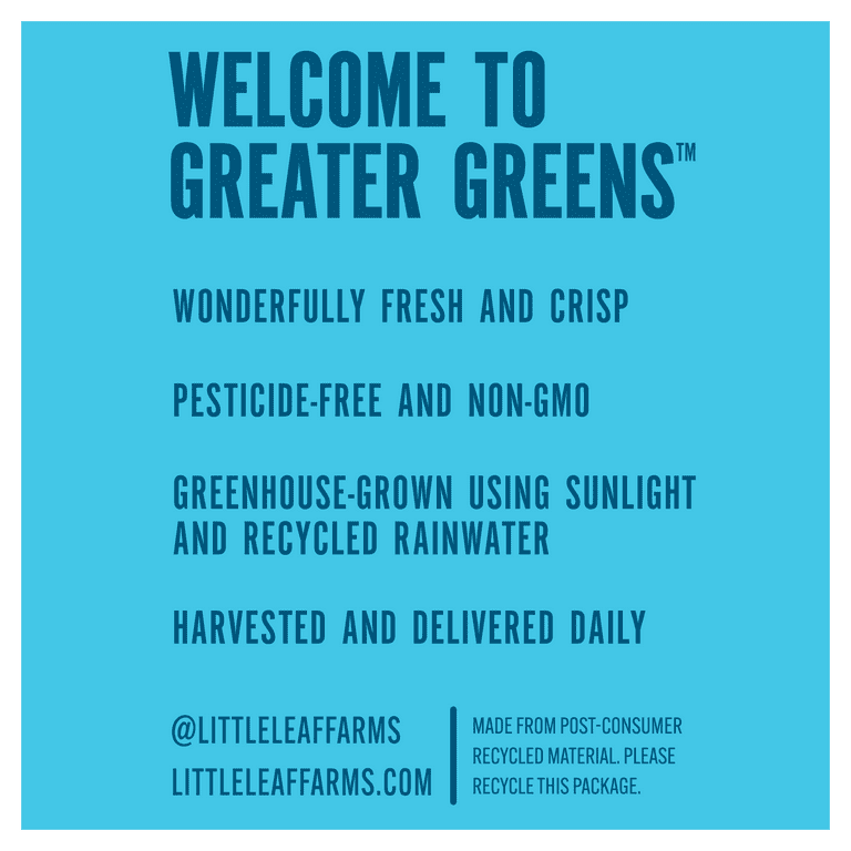 Little Leaf Farms Baby Crispy Green Leaf Lettuce Salad, 8 oz Clam Shell, Fresh