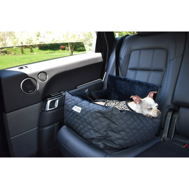Leather seats and dogs sales
