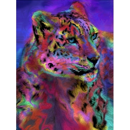 Rainbow Leopard Print - Rainbow Snow Leopard Poster Print by Alixandra Mullins