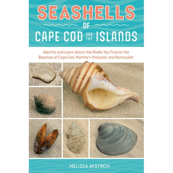 Identify and Learn about Seashells: Hand Seashells of Cape Cod and the Islands: Identify and Learn about the Shells You Find on the Beaches of Cape Cod, Martha's, Book 3, (Paperback)
