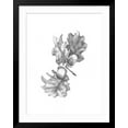 thumbnail image 2 of Art.com Oak Leaf Pencil Sketch II Art Print by Emma Caroline, Black Frame Wall Art, 32" x 40", 2 of 5