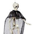 thumbnail image 2 of Mini Esqueleto De Cuerpo Completo Body Mini Esqueleto 15.75IN Full Halloween (Estilo B Novio), 2 of 7