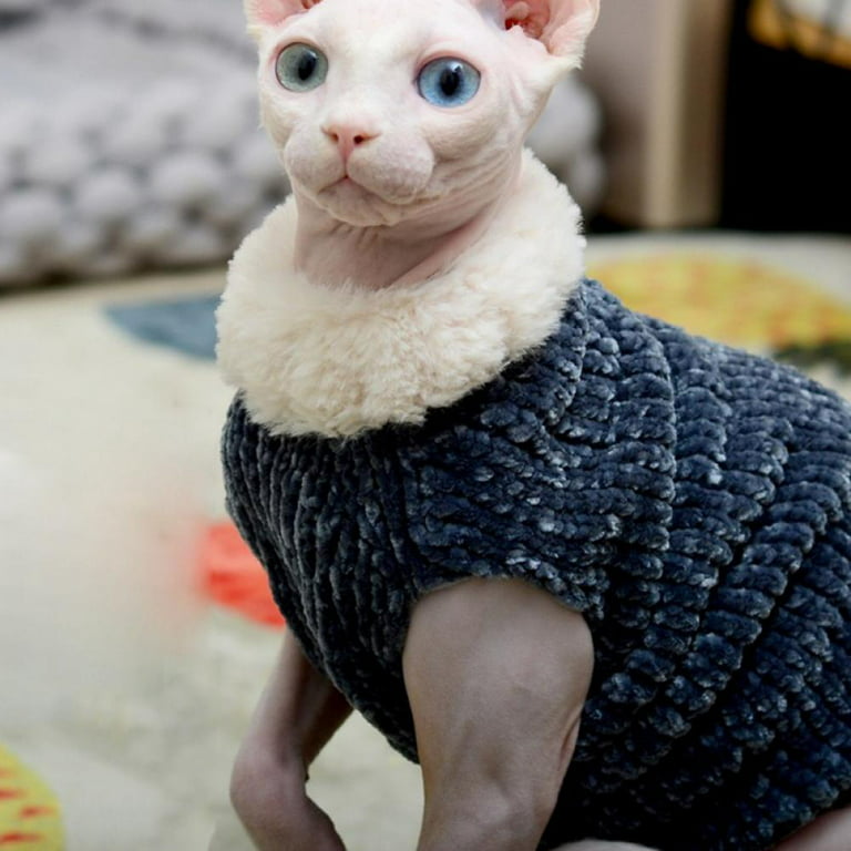 Coats for Sphynx Cats  Cat Winter Coat, Cat Coat, Jackets for cats