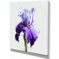 thumbnail image 2 of Beautiful Blue Iris Watercolor Sketch - Floral Canvas Art Print, 2 of 4