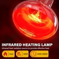 thumbnail image 2 of czcpp-Infrared Ampoules Chauffantes, 100w Ampoules Chauffantes pour Reptiles, Lumière de Base Rouge Ampoule Chauffante Dimmable pour Poules Lézard Barbu Dragon Léopard Gecko-Lot de 2, 2 of 4