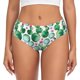 thumbnail image 1 of Fotbe Cactus Plants Calzones Estampados para Mujer – Ropa Interior de Algodón, Cómoda, Suave y Elástica-Medium, 1 of 6