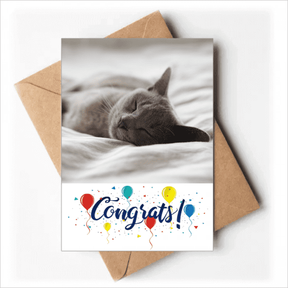 animal cute gray cat photograph Wedding Cards Congratulations Greeting Envelopes