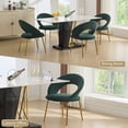 thumbnail image 5 of NEW Green Velvet Dining Chair with Curved Backrest and Gold Metal Legs for Kitchen or Dining Room, 5 of 9