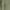 Army Green, variant on ZyeKqe Plus Size Fuzzy Fleece Tops for Women Sherpa Lined Long Sleeve Pajamas Tops Thicken Warm Crewneck Pullovers