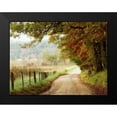 thumbnail image 2 of Head, Danny 14x12 Black Modern Framed Museum Art Print Titled - Autumn on a Country Road, 2 of 5