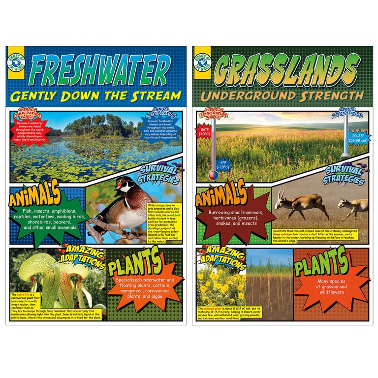 North Star Teacher Resources The Beatitudes Bulletin Board Set - 9 Piece Christian Classroom Decor