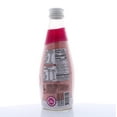 HEMANI NonDairy Basil Seeds Milkshake Falooda Drink 9.8 FL OZ (290 mL