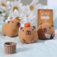 thumbnail image 5 of Nuevo kit de material para principiantes de peluche de lana de fieltro hecho a mano para hacer muñecos de bricolaje, lindos y regordetes peces grises de capibara, juguetes de peluche, decoraciones de, 5 of 5