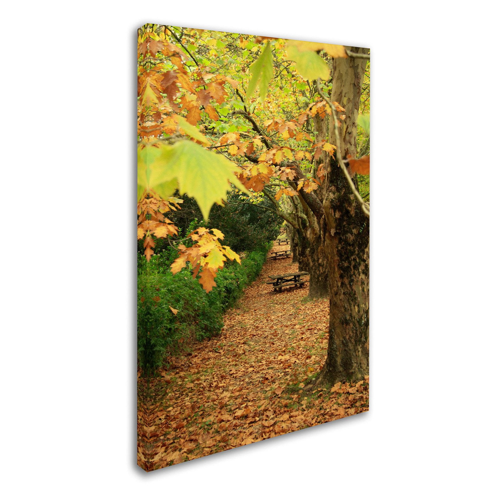 Trademark Fine Art "Autumn Conversations" Canvas Art by Beata Czyzowska Young