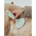 thumbnail image 3 of Dexypaws: Slicker Brush - Medium - Sage Green, Dog & Cat Grooming Tool, Stainless Steel Teeth, Remove Fur-Tangles-Dirt, Coat Maintenance, 7 x 4.1", 3 of 11