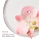 thumbnail image 5 of Champú Biolage Color Last Color Protector Vegan, 5 of 9