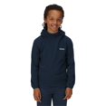 thumbnail image 3 of Regatta - Sudadera Loco Microrayas para Niños/Niñas (Vaquero Luz de Luna, Negro), 3 of 3