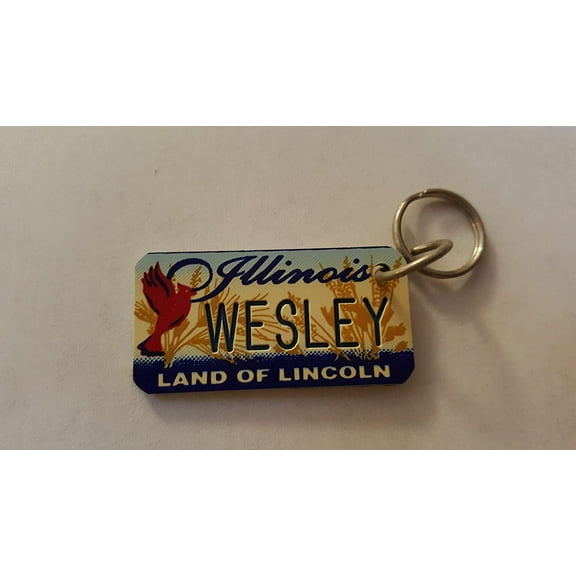 Illinois Land of Lincoln Wesley Keychain Key Holder Key Ring New