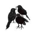 thumbnail image 3 of 6 Pcs Halloween Decoration Crow Artificial Raven Crow With Feathers, 3 of 5