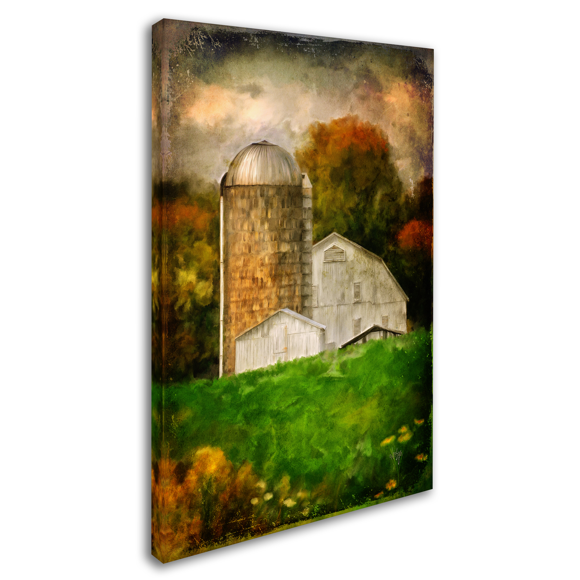 Trademark Fine Art "Down on the Farm" Canvas Art by Lois Bryan